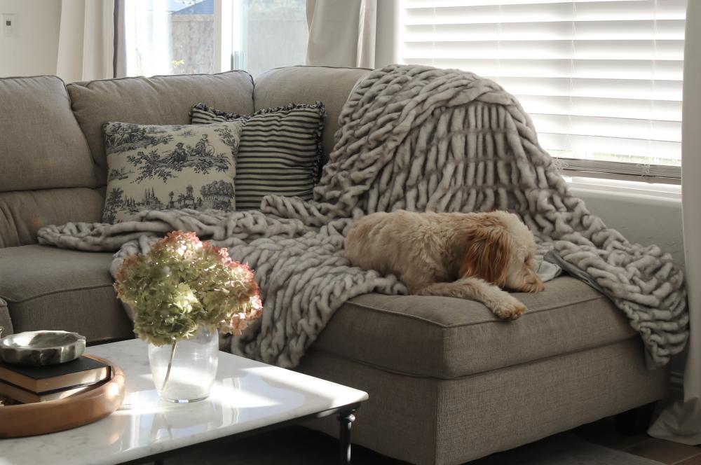 What Size Faux Fur Blanket Works Best for a Couch?